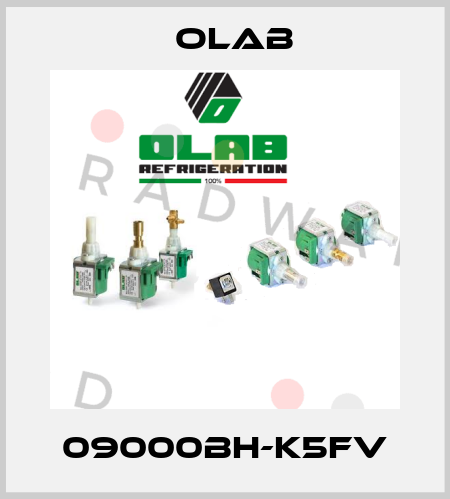 09000BH-K5Fv Olab