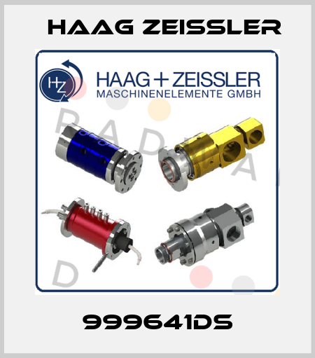 999641DS Haag Zeissler