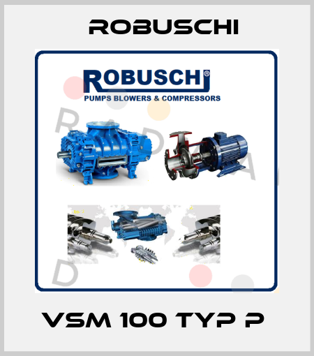 VSM 100 TYP P  Robuschi