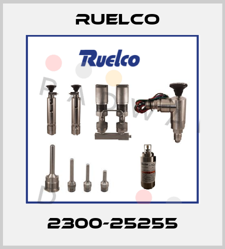2300-25255 Ruelco