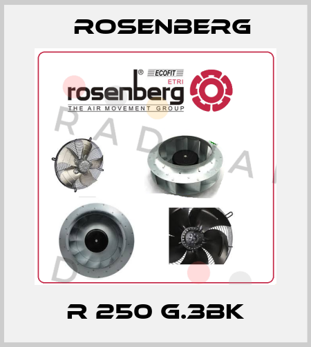 R 250 G.3BK Rosenberg