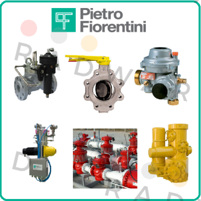 Repair kit for SN: 201924165758 consist of:  185 DN25, SB 185 DN25 and 103 X SB/82 Pietro Fiorentini