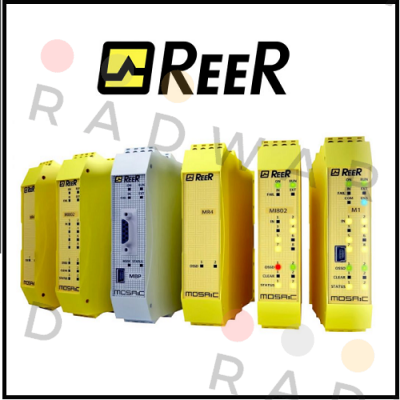 SP-R-13-202-19 Reer