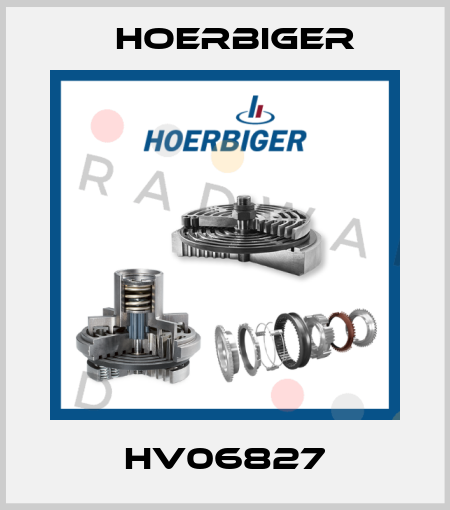 HV06827 Hoerbiger