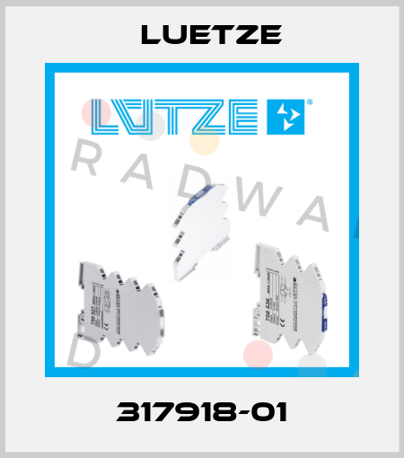 317918-01 Luetze