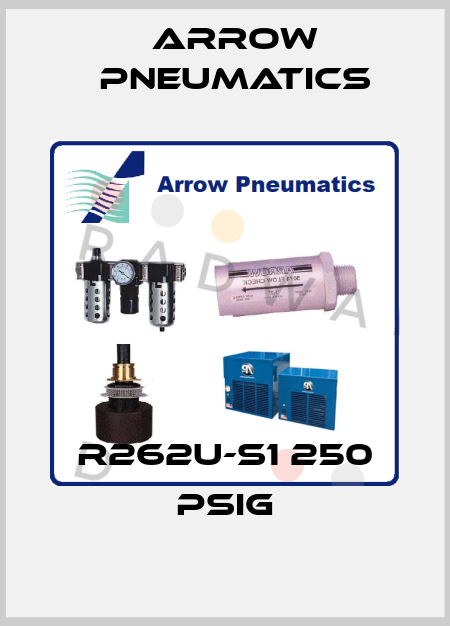 R262U-S1 250 PSIG Arrow Pneumatics