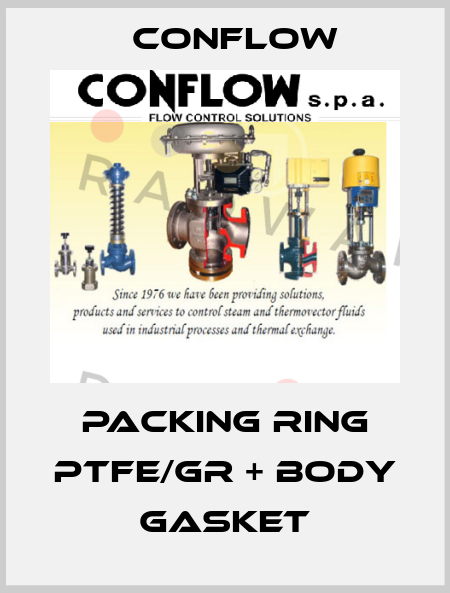 Packing ring PTFE/GR + body gasket CONFLOW