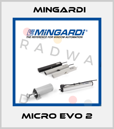 Micro EVO 2 Mingardi