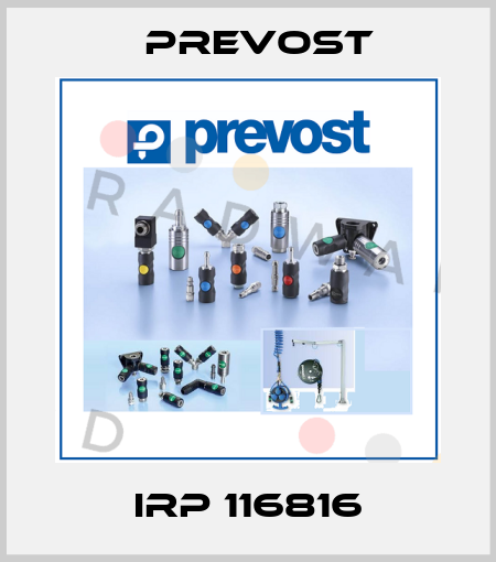 IRP 116816 Prevost