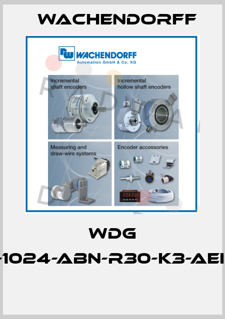 WDG 58C-1024-ABN-R30-K3-AEI-070  Wachendorff