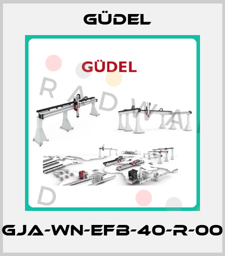 GJA-WN-EFB-40-R-00 Güdel