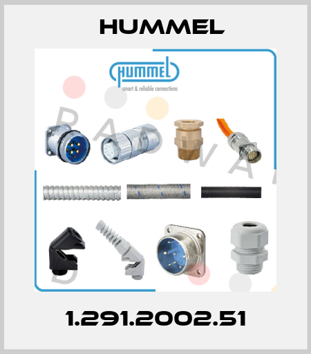 1.291.2002.51 Hummel