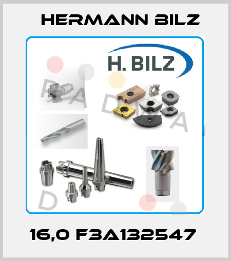 16,0 F3A132547  Hermann Bilz