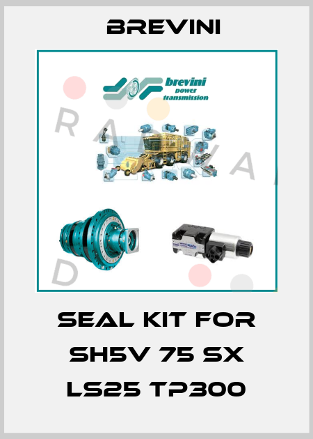 Seal kit for SH5V 75 SX LS25 TP300 Brevini