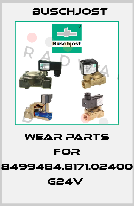 WEAR PARTS FOR 8499484.8171.02400 G24V  Buschjost