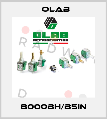 8000BH/B5IN Olab