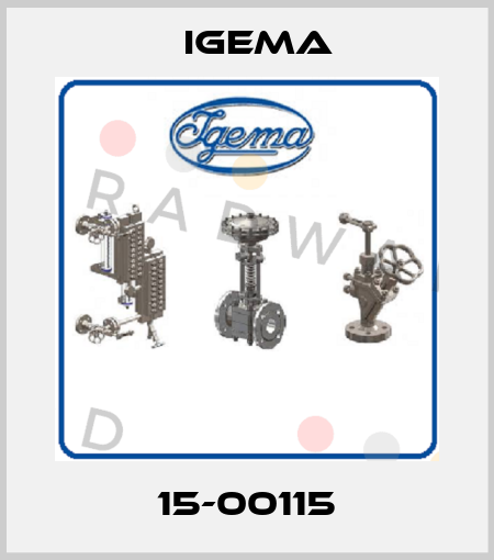 15-00115 Igema
