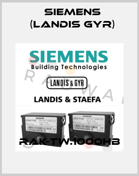 RAK-TW.1000HB Siemens (Landis Gyr)