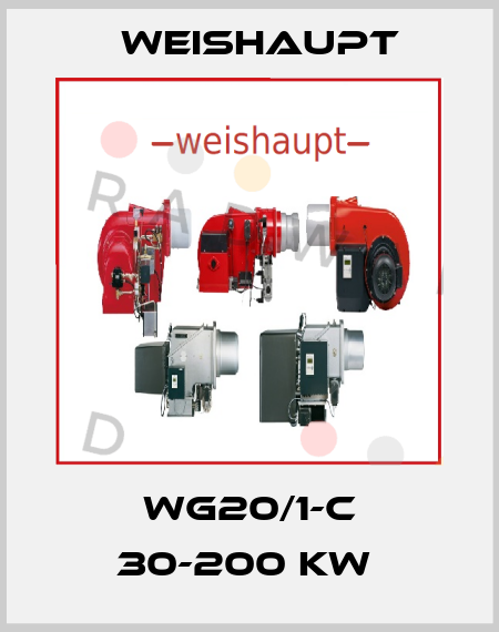 WG20/1-C 30-200 KW  Weishaupt