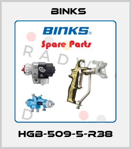 HGB-509-5-R38 Binks