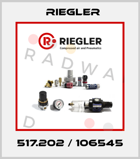 517.202 / 106545 Riegler