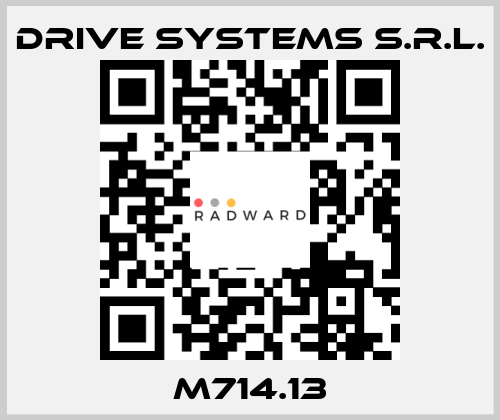 M714.13 DRIVE SYSTEMS s.r.l.