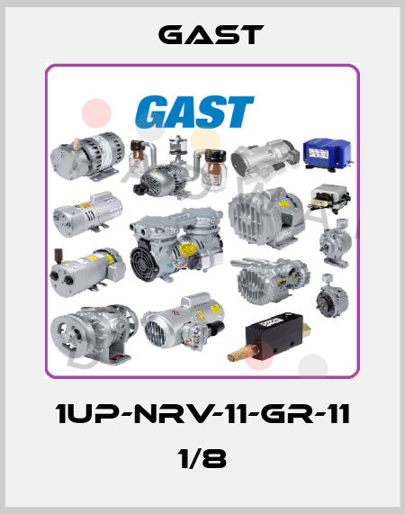 1UP-NRV-11-GR-11 1/8 Gast