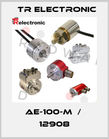 AE-100-M  /  12908 TR Electronic
