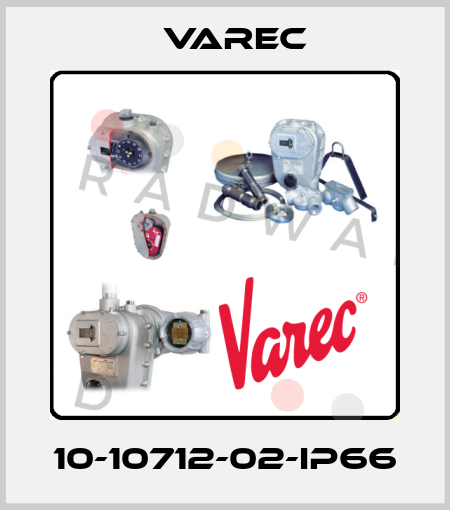 10-10712-02-IP66 Varec