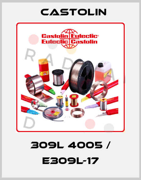 309L 4005 / E309L-17 Castolin