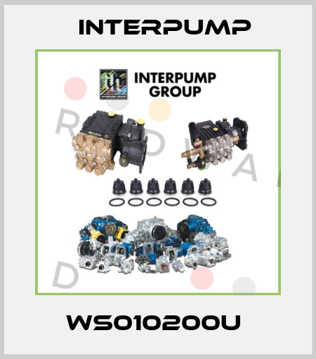 WS010200U  Interpump