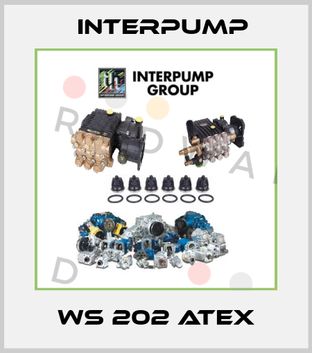 WS 202 Atex Interpump