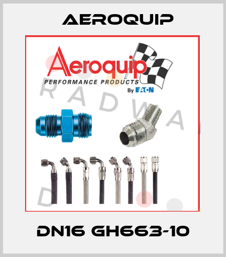 DN16 GH663-10 Aeroquip