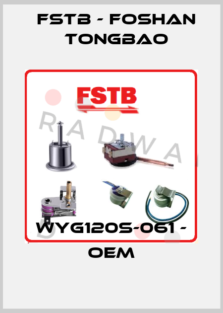 WYG120S-061 - OEM FSTB - Foshan Tongbao