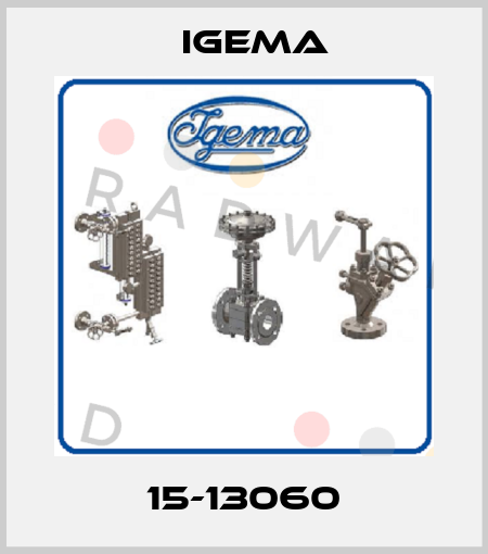 15-13060 Igema