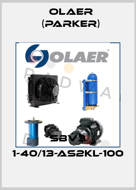 SBV3 1-40/13-AS2KL-100 Olaer (Parker)
