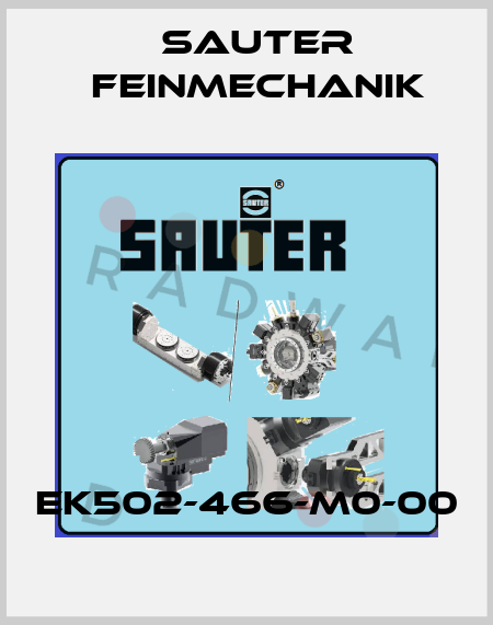 EK502-466-M0-00 Sauter Feinmechanik