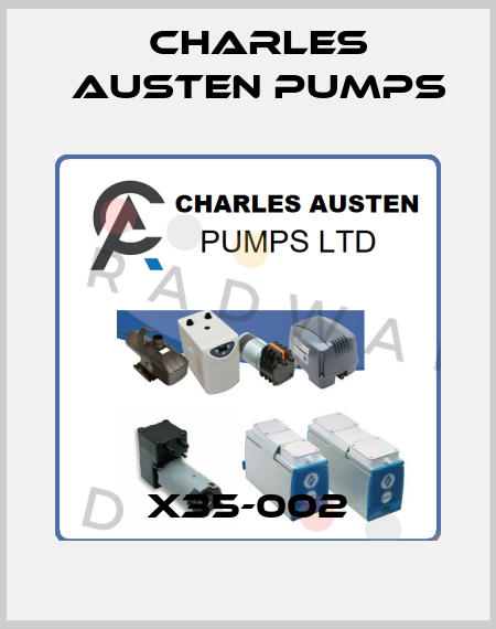 X35-002 Charles Austen Pumps