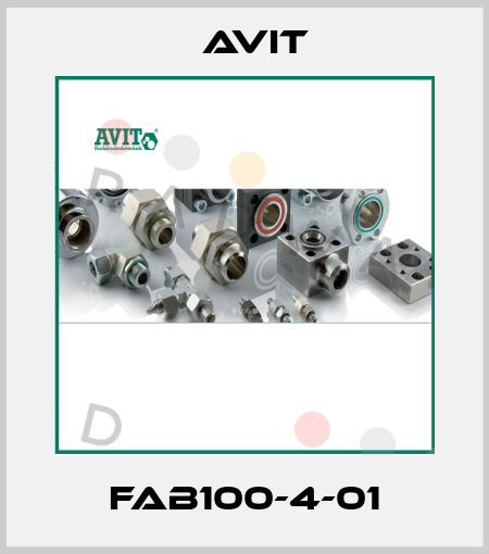 FAB100-4-01 Avit