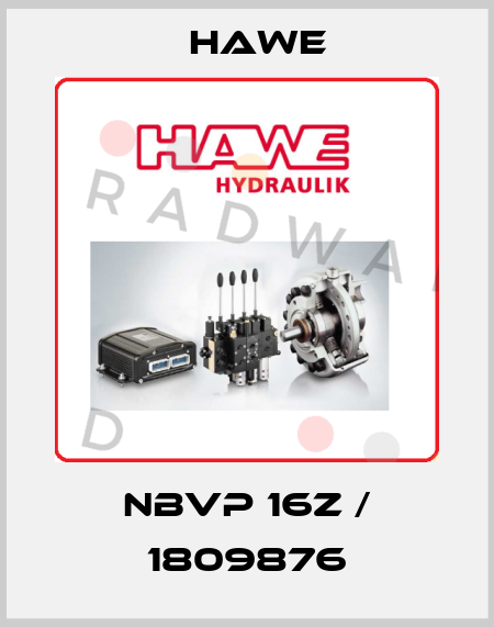 NBVP 16Z / 1809876 Hawe