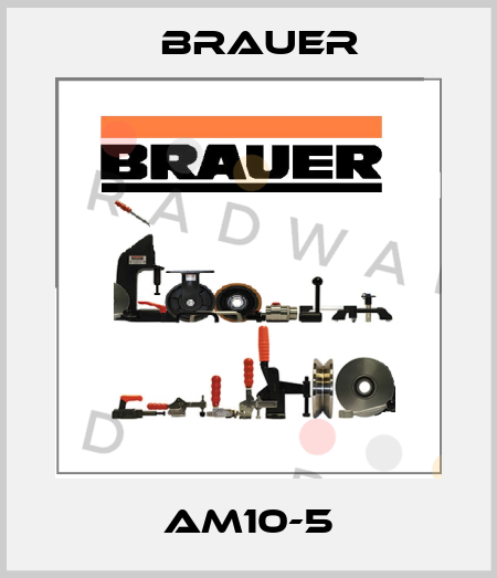 Am10-5 Brauer