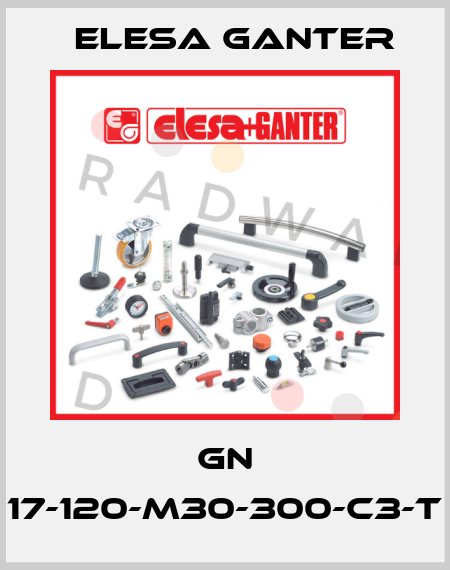 GN 17-120-M30-300-C3-T Elesa Ganter