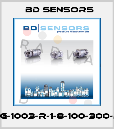 30.600G-1003-R-1-8-100-300-2-1-000 Bd Sensors