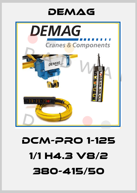 DCM-Pro 1-125 1/1 H4.3 V8/2 380-415/50 Demag