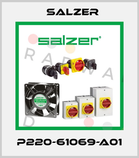 P220-61069-A01 Salzer