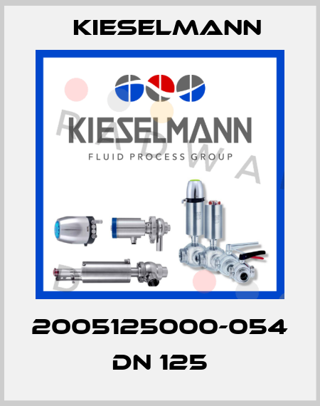 2005125000-054 DN 125 Kieselmann