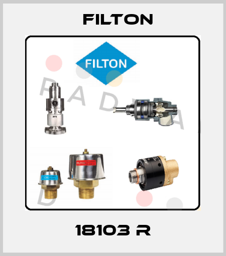18103 R Filton