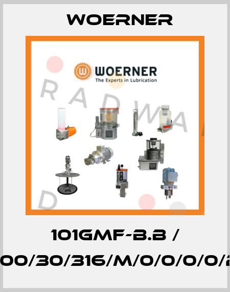 101GMF-B.B / GMF-B.B/00/30/316/M/0/0/0/0/2/0/0/8/K Woerner
