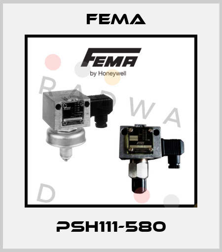 PSH111-580 FEMA