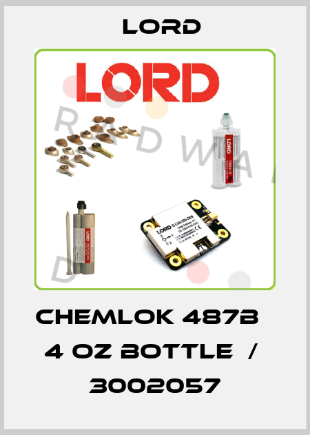 CHEMLOK 487B   4 OZ BOTTLE  /  3002057 Lord